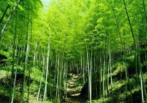 人少景美！五一小長(cháng)假最適合出游的的當地