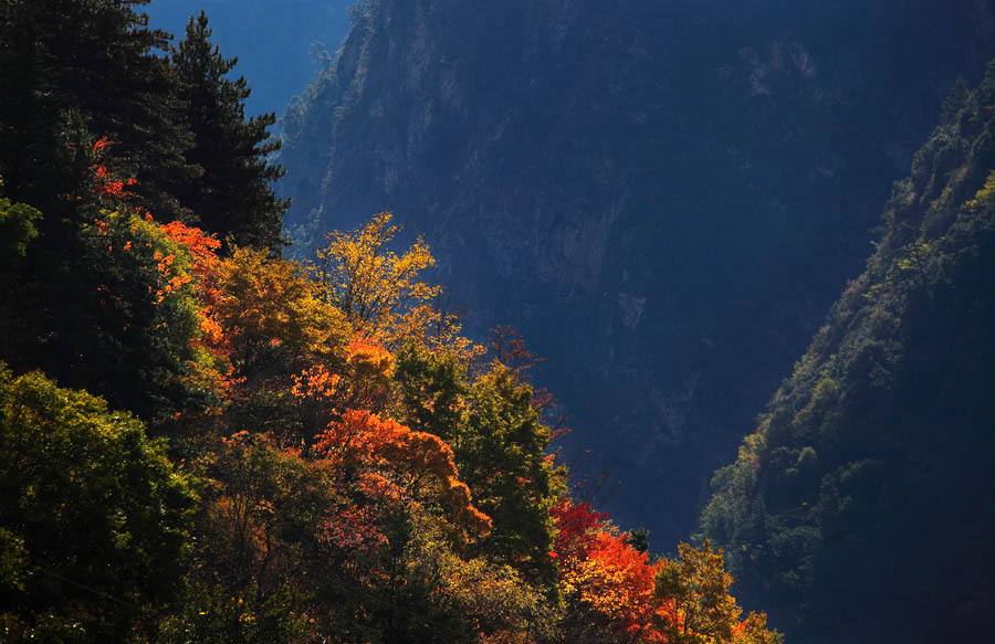 【川藏線(xiàn)旅行租車(chē)】最終的米亞羅，真實(shí)的彩林天堂